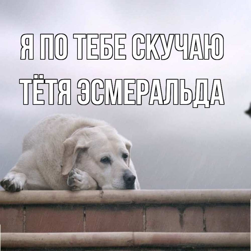 Открытка на каждый день с именем, Тётя-Эсмеральда Я по тебе скучаю ждет Прикольная открытка с пожеланием онлайн скачать бесплатно 