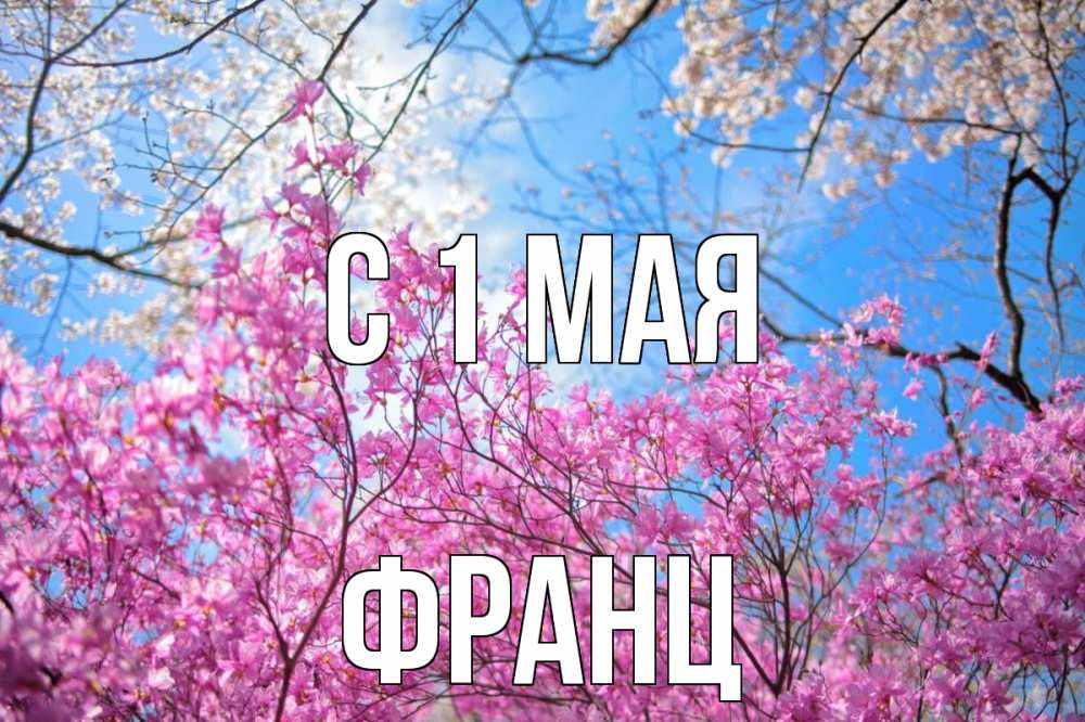 Открытка на каждый день с именем, Франц С 1 мая С 1 мая Прикольная открытка с пожеланием онлайн скачать бесплатно 