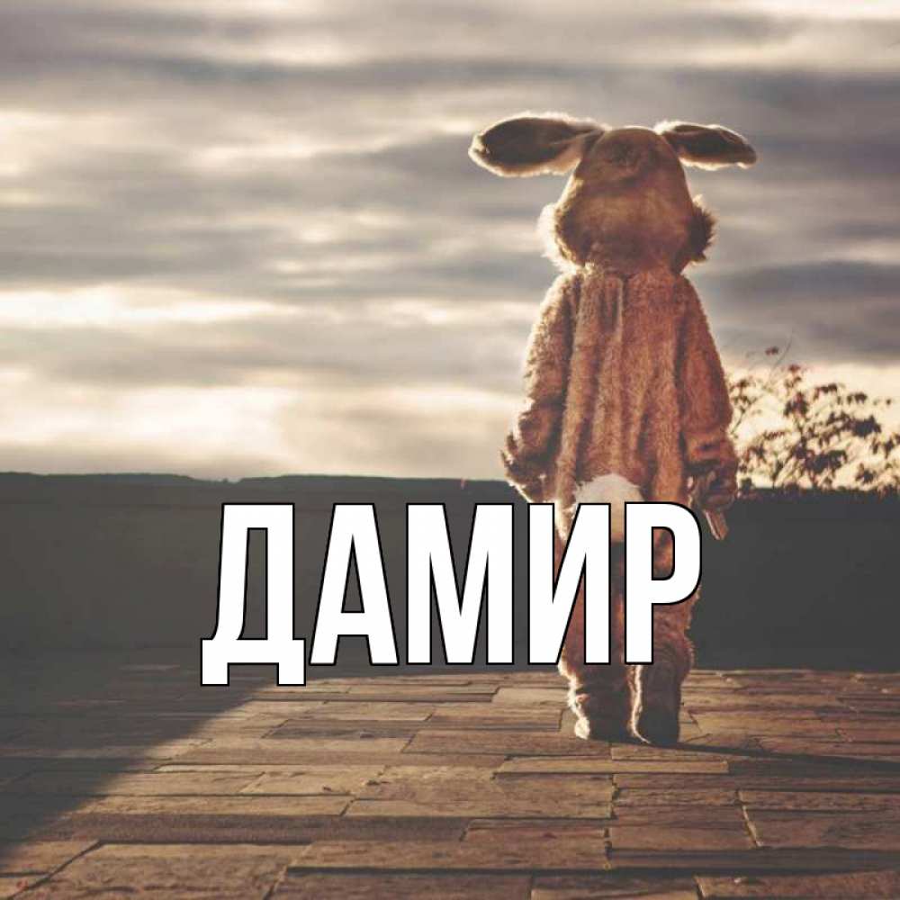 Днем, открытка дамир