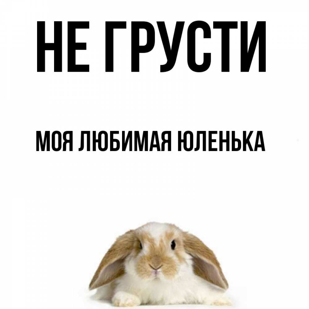 Встреча с подругами стихи. Милые котята картинки. Моя прелесть прикол картинка. Не грусти моя. Не грусти моя.
