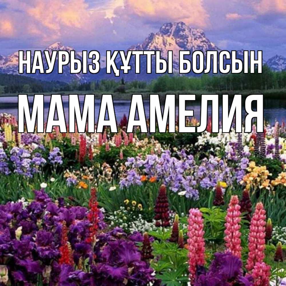 Открытка на каждый день с именем, Мама-Амелия Наурыз құтты болсын наурыз Прикольная открытка с пожеланием онлайн скачать бесплатно 