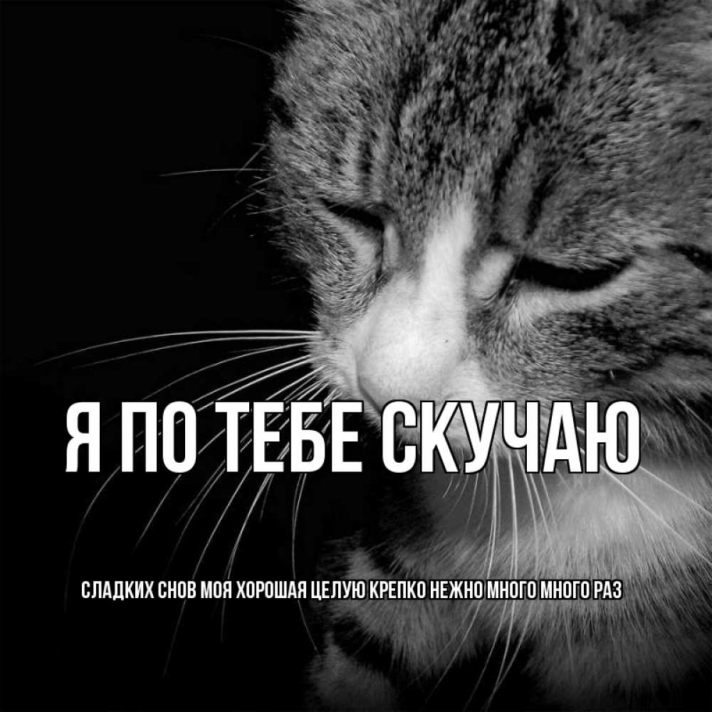 Картинки целую тебя нежно и обнимаю крепко, ноября открытка