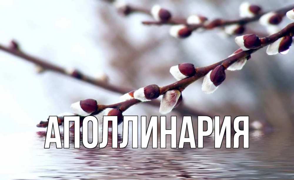 Открытка на каждый день с именем, Аполлинария Главная верба, ручей Прикольная открытка с пожеланием онлайн скачать бесплатно 