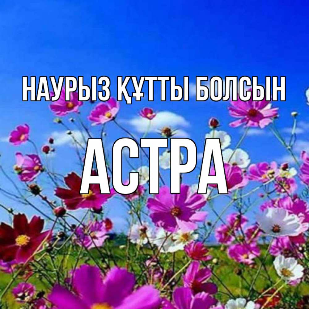 Открытка на каждый день с именем, Астра Наурыз құтты болсын цветы Прикольная открытка с пожеланием онлайн скачать бесплатно 