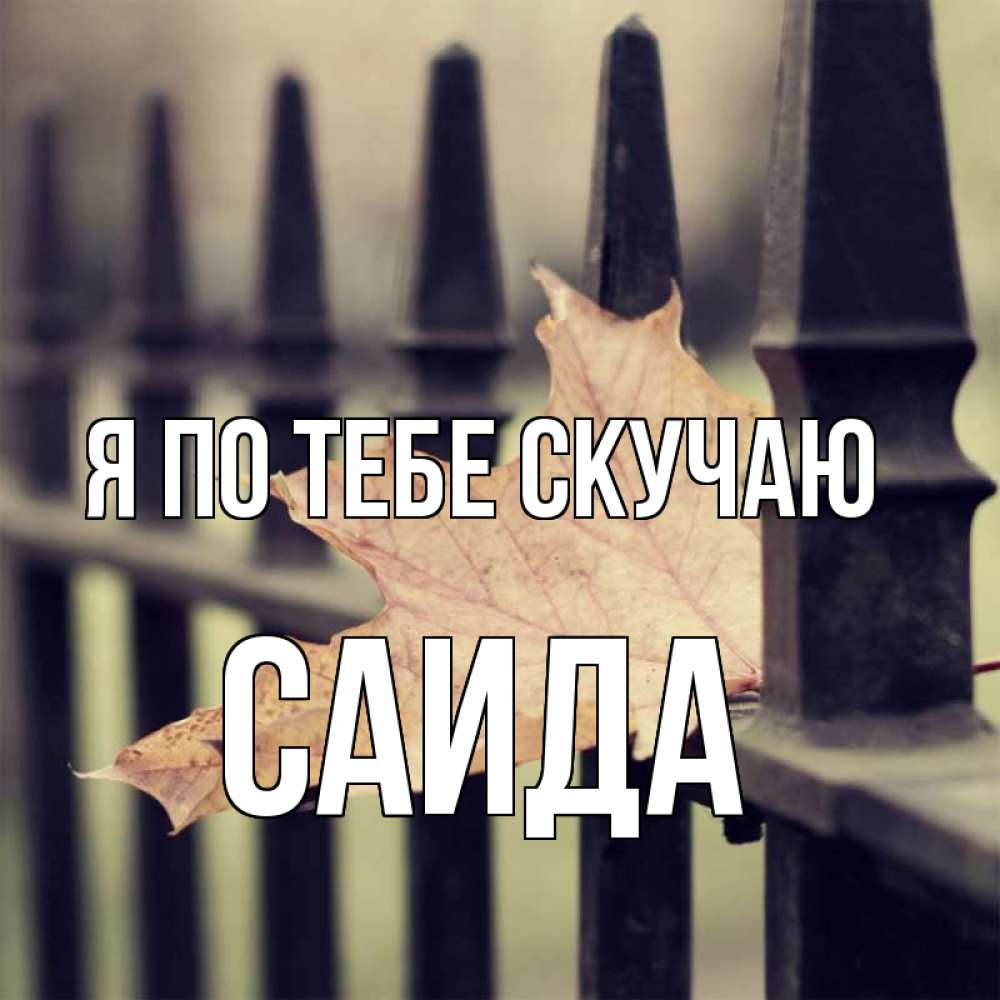 Открытка на каждый день с именем, Саида Я по тебе скучаю очень скучно Прикольная открытка с пожеланием онлайн скачать бесплатно 