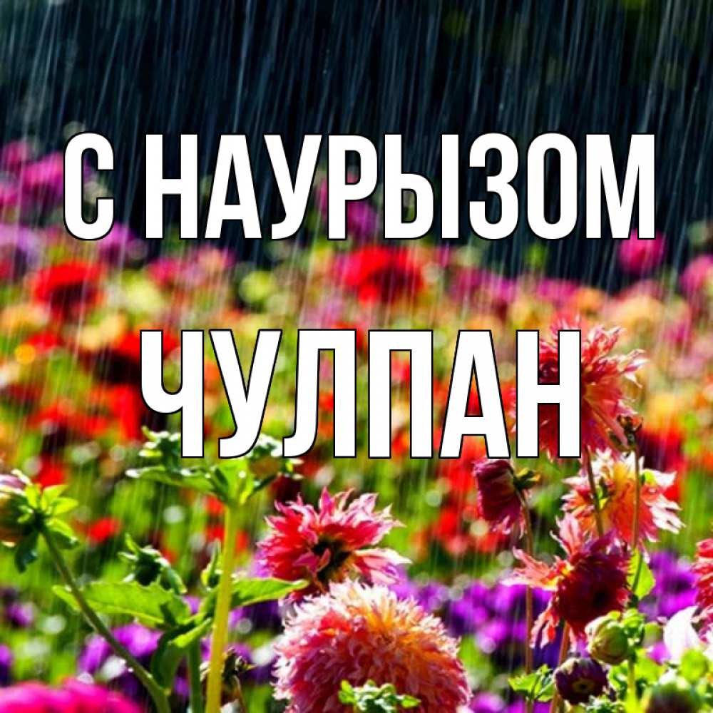 Открытка на каждый день с именем, Чулпан С наурызом цветы под дождиком к международному женскому дню Прикольная открытка с пожеланием онлайн скачать бесплатно 
