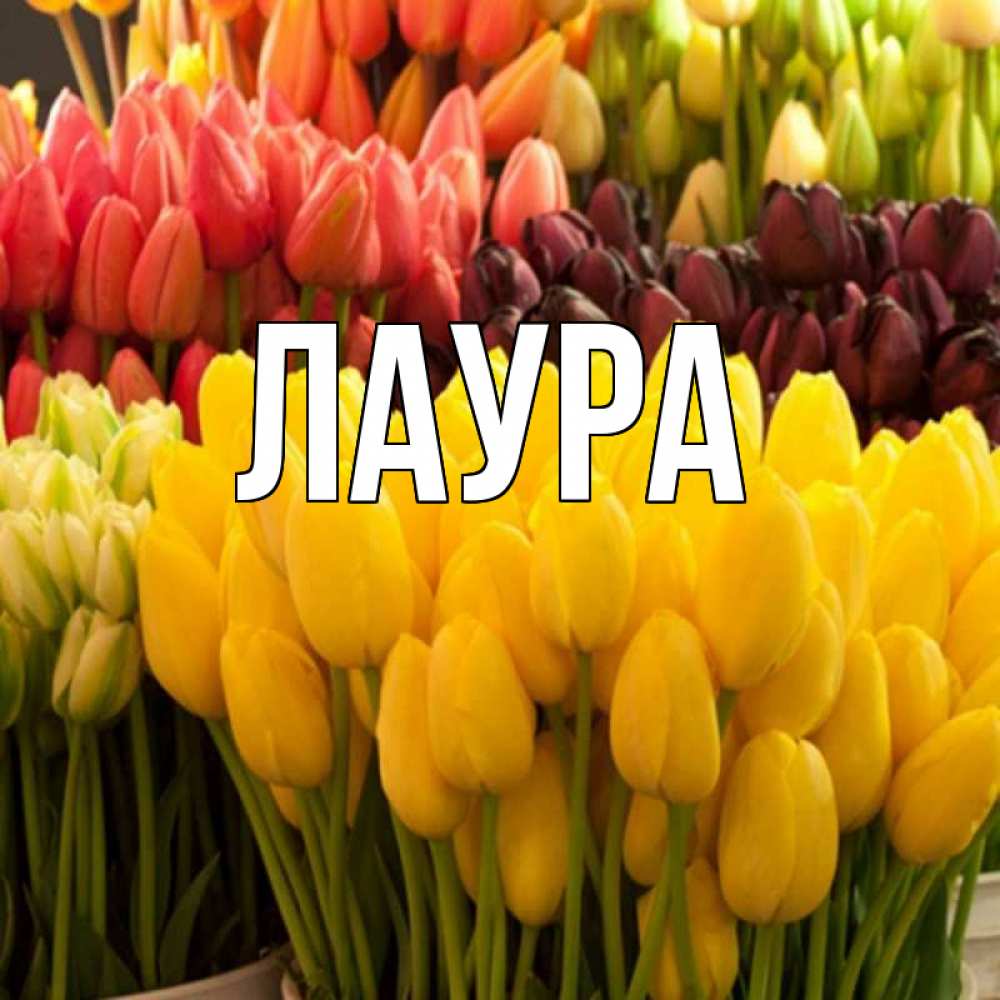 Картинка  с именем , Лаура