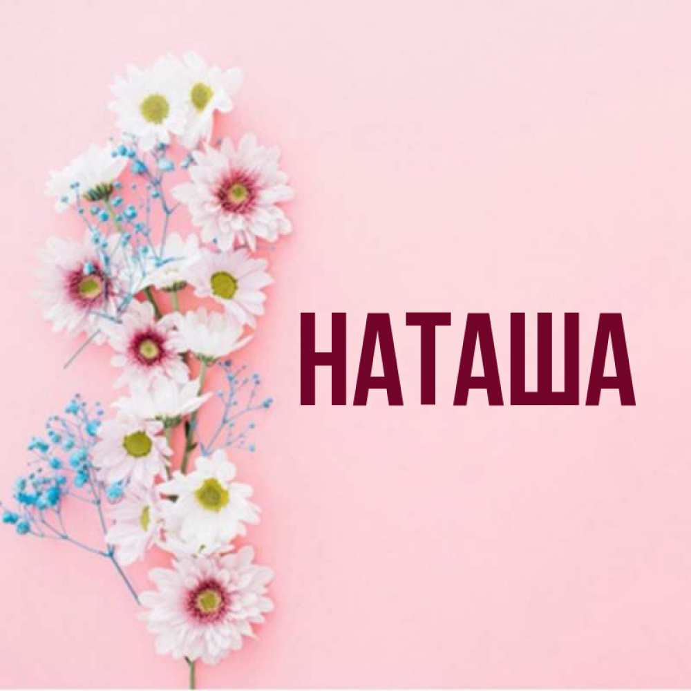 День наташ картинка