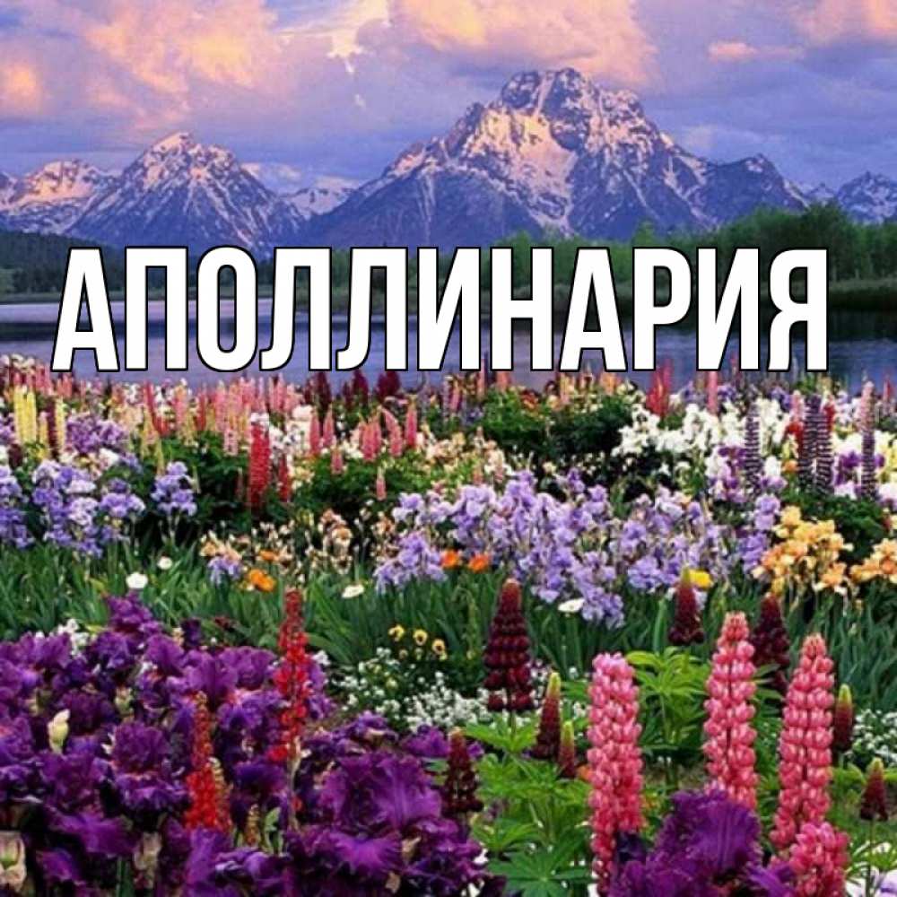 Открытка на каждый день с именем, Аполлинария Главная международный женский день Прикольная открытка с пожеланием онлайн скачать бесплатно 