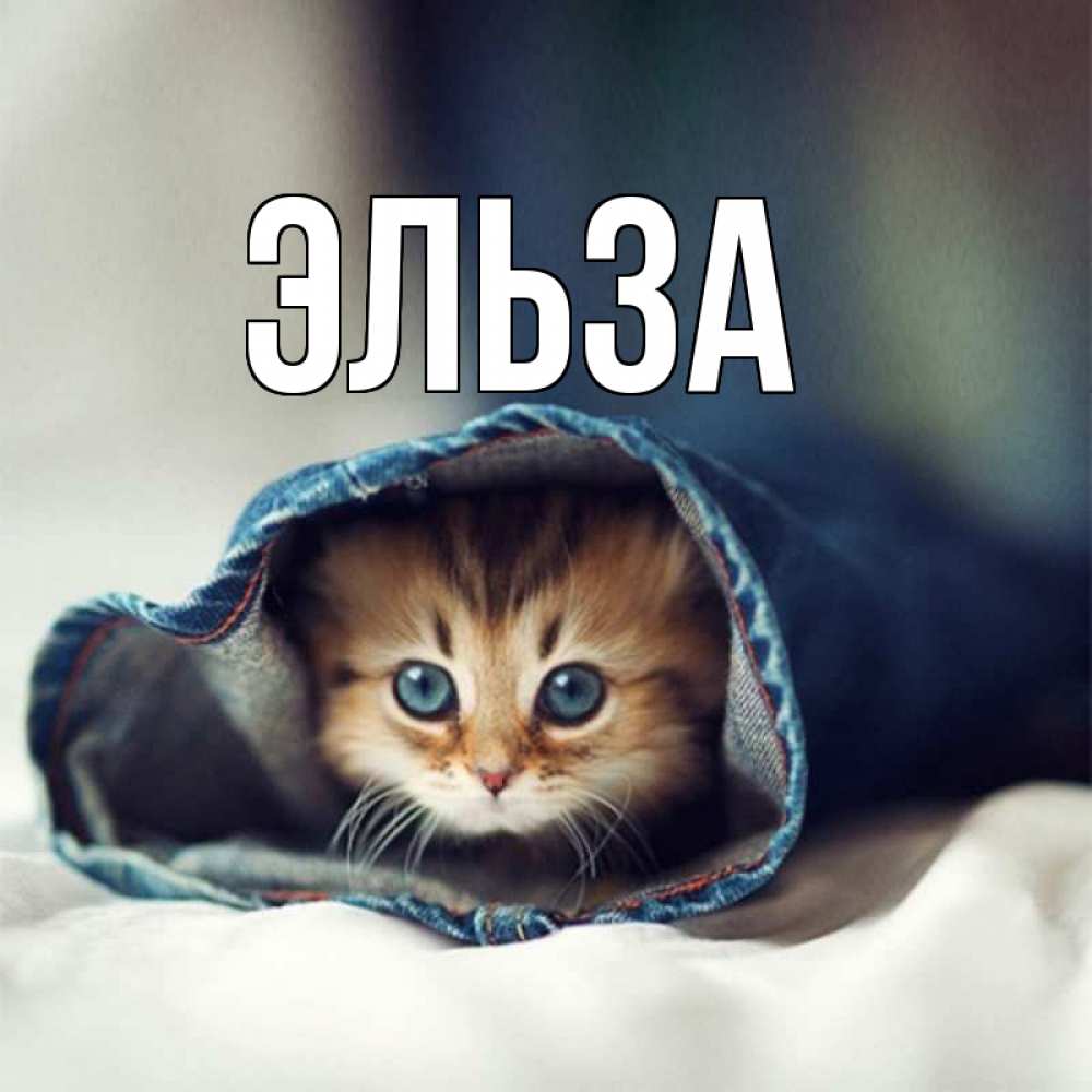 Картинка  с именем , Эльза