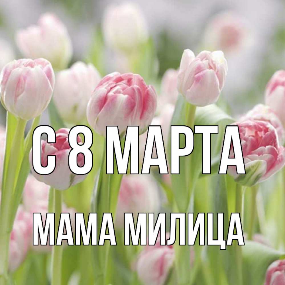 Открытка на каждый день с именем, Мама-Милица С 8 марта цветы Прикольная открытка с пожеланием онлайн скачать бесплатно 