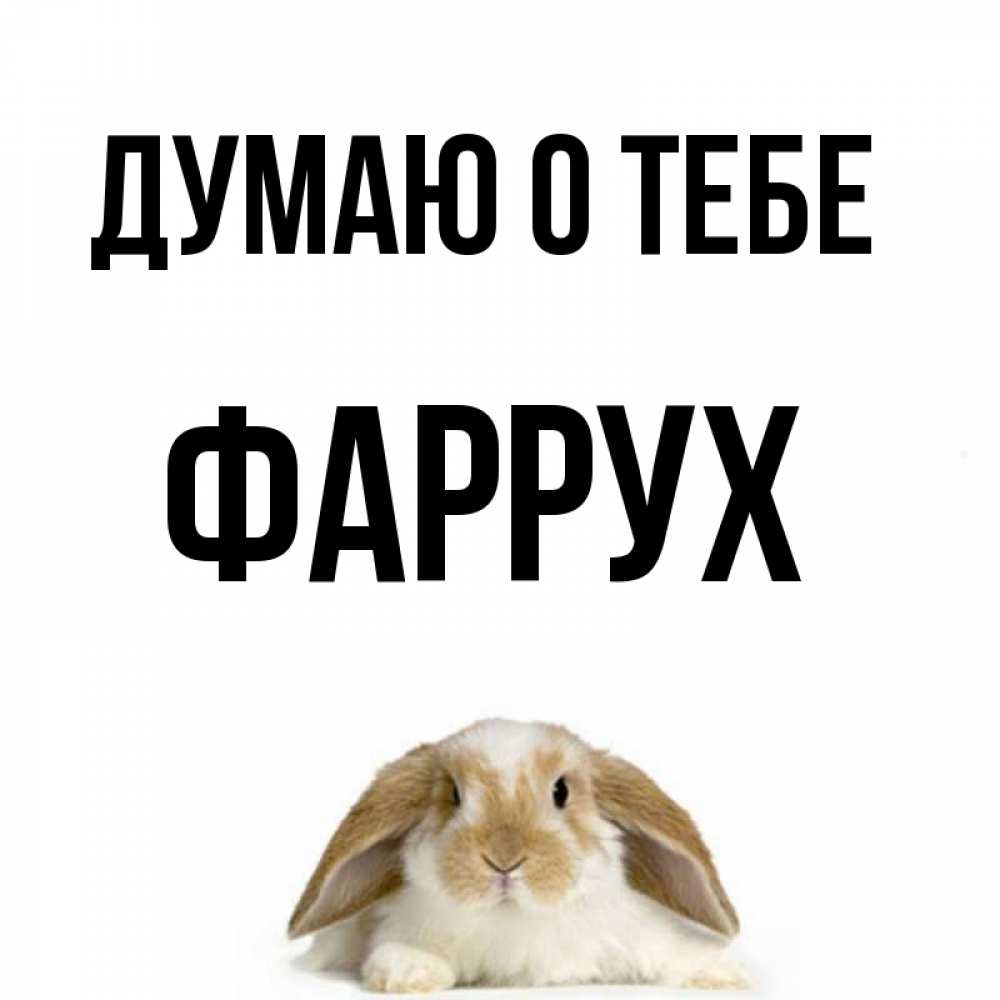 Картинка Думаю о тебе, Фаррух