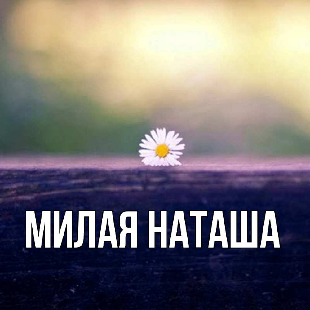 Главная наташа