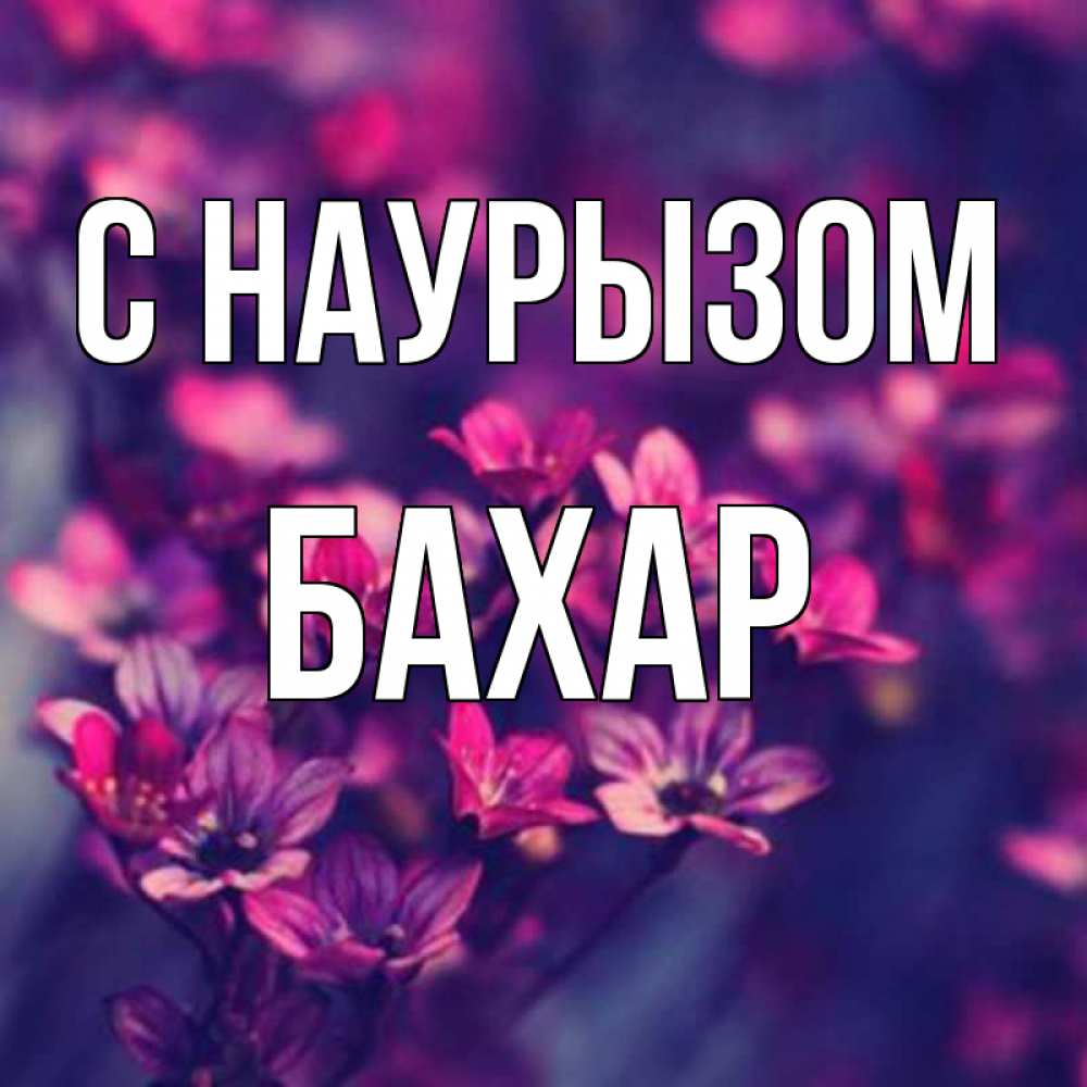 Открытка на каждый день с именем, Бахар С наурызом небольшие цветы 1 Прикольная открытка с пожеланием онлайн скачать бесплатно 