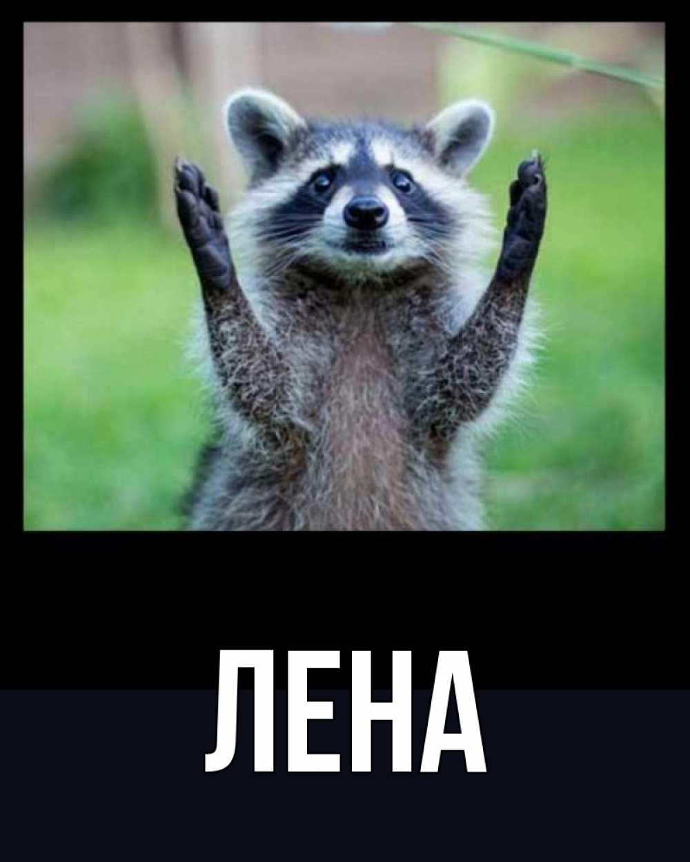 Открытка на каждый день с именем, Лена Главная хорошее настроение утречком Прикольная открытка с пожеланием онлайн скачать бесплатно 