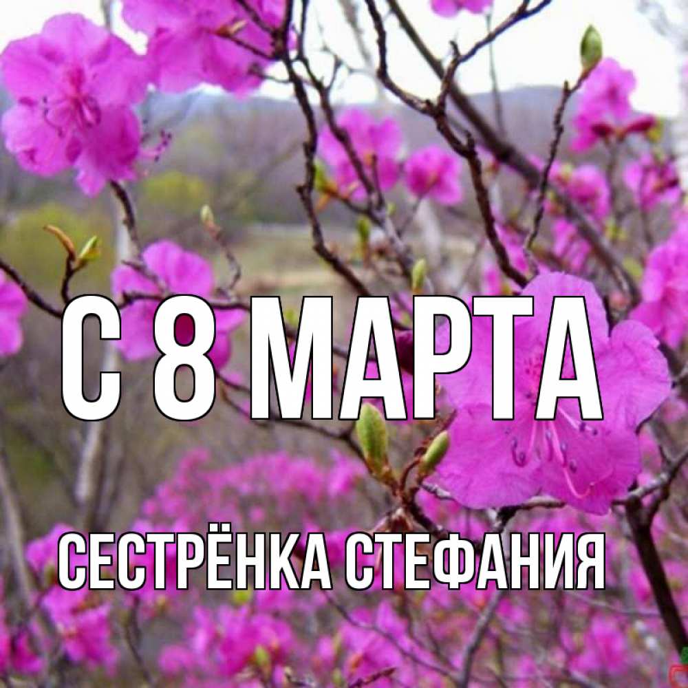 Картинка С 8 МАРТА, Сестрёнка Стефания