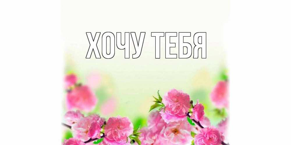Открытка на каждый день с именем, Хочу-тебя Главная цветы Прикольная открытка с пожеланием онлайн скачать бесплатно 