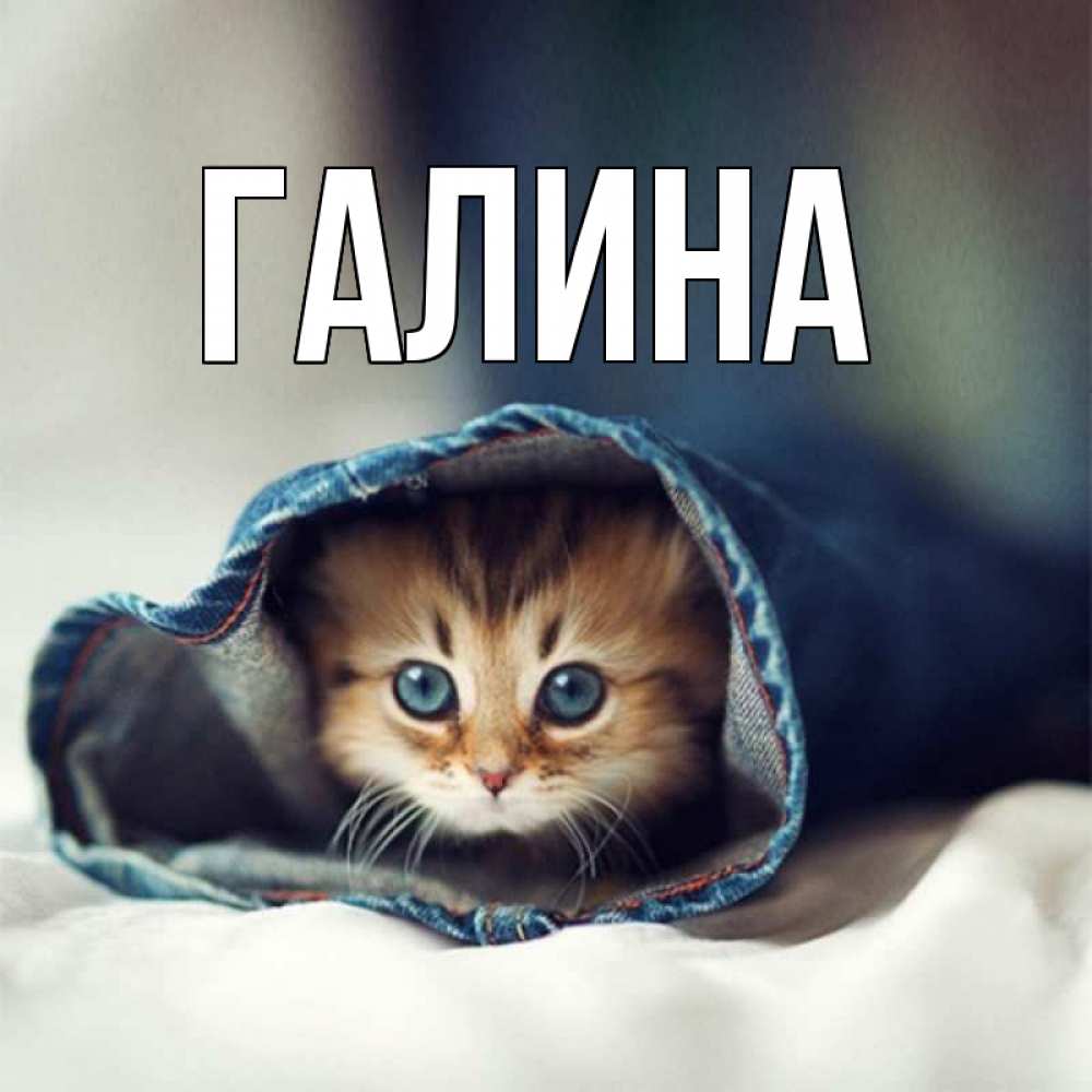 Открытка на каждый день с именем, Галина Главная мне без тебя плохо Прикольная открытка с пожеланием онлайн скачать бесплатно 