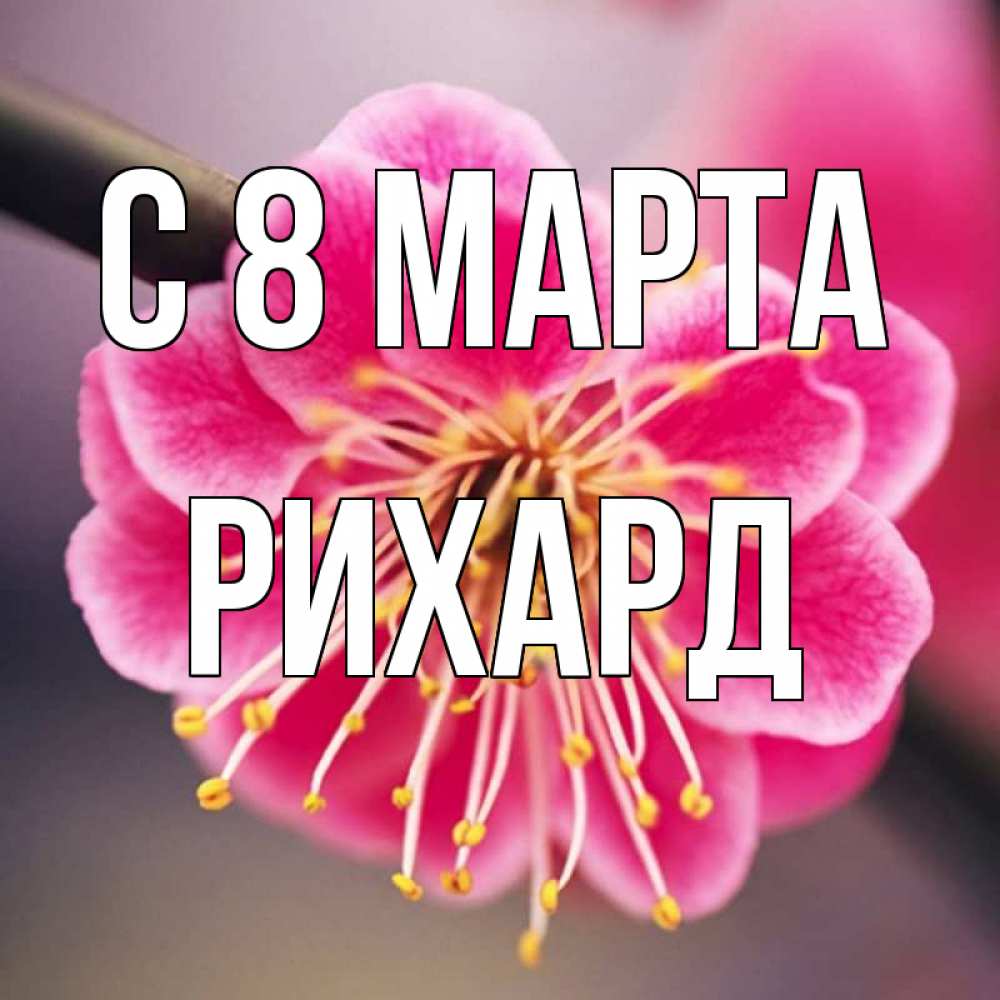 Открытка на каждый день с именем, Рихард С 8 МАРТА цветы Прикольная открытка с пожеланием онлайн скачать бесплатно 