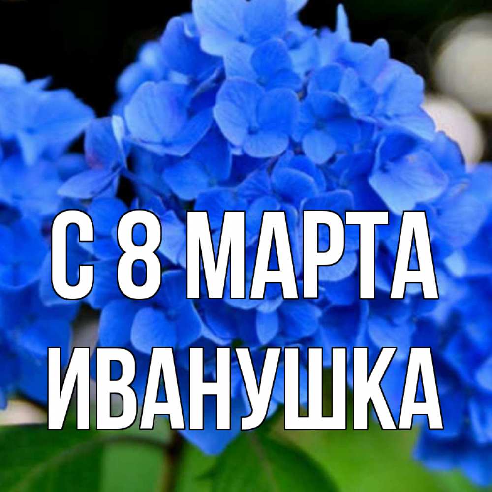Картинка С 8 марта, Иванушка