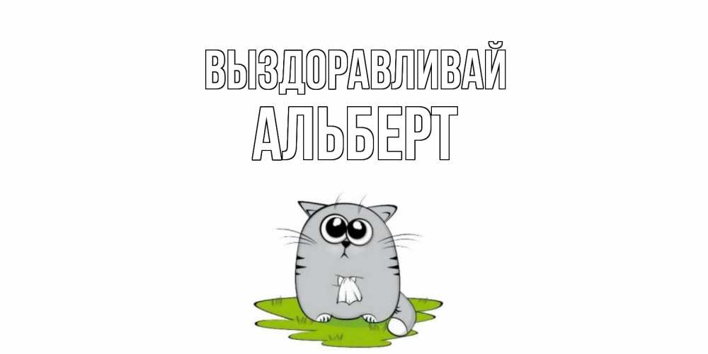 Открытка на каждый день с именем, Альберт Выздоравливай кот и открытки про выздоровление Прикольная открытка с пожеланием онлайн скачать бесплатно 