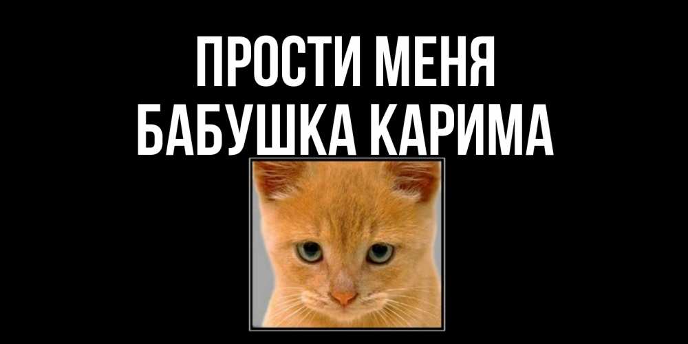 Открытка на каждый день с именем, Бабушка-Карима Прости меня рыжий грустный кот просит прощения Прикольная открытка с пожеланием онлайн скачать бесплатно 