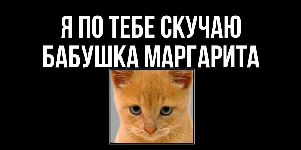 Открытка на каждый день с именем, Бабушка-Маргарита Я по тебе скучаю открытки рыжий котенок скучает по тебе Прикольная открытка с пожеланием онлайн скачать бесплатно 