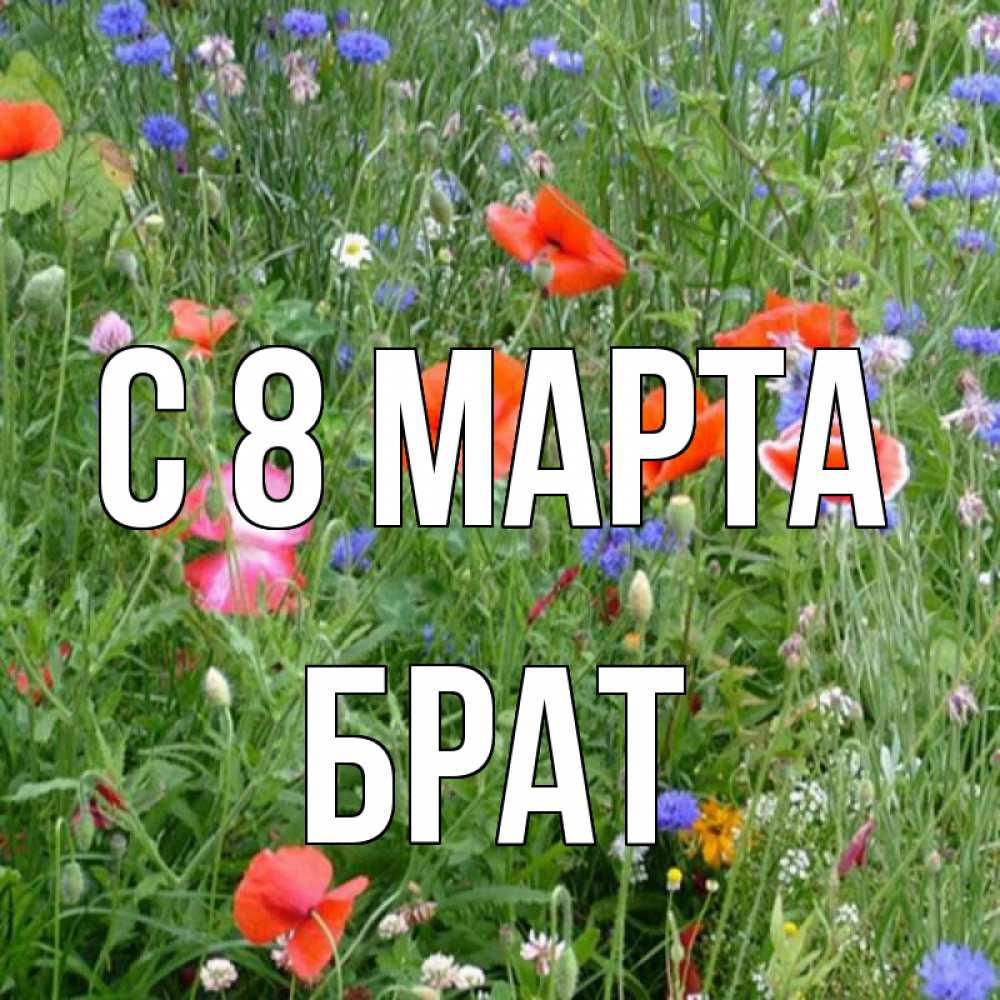 Открытка на каждый день с именем, Брат С 8 марта международный женский день 4 Прикольная открытка с пожеланием онлайн скачать бесплатно 