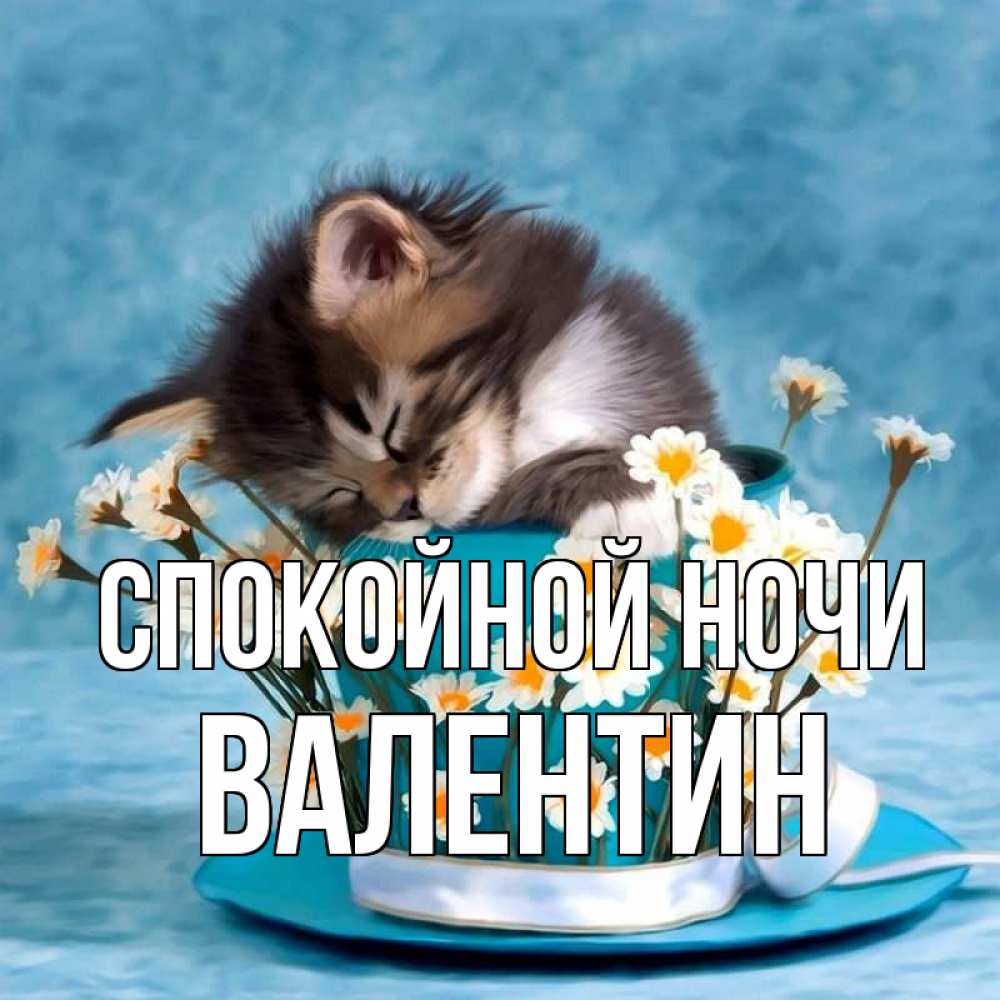 Открытка на каждый день с именем, Валентин Спокойной ночи котенок спит в кружке с блюдцем Прикольная открытка с пожеланием онлайн скачать бесплатно 
