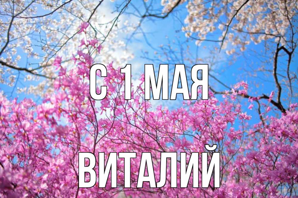 Открытка на каждый день с именем, Виталий С 1 мая С 1 мая Прикольная открытка с пожеланием онлайн скачать бесплатно 