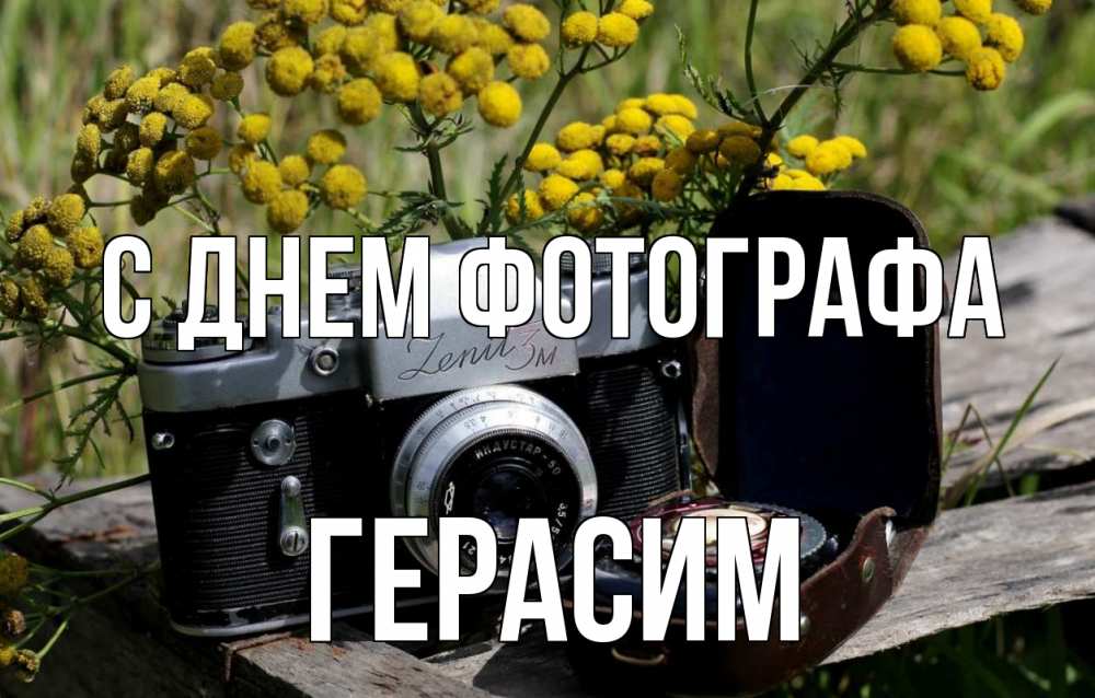 Открытка на каждый день с именем, Герасим С днем фотографа с днем фотографа Прикольная открытка с пожеланием онлайн скачать бесплатно 