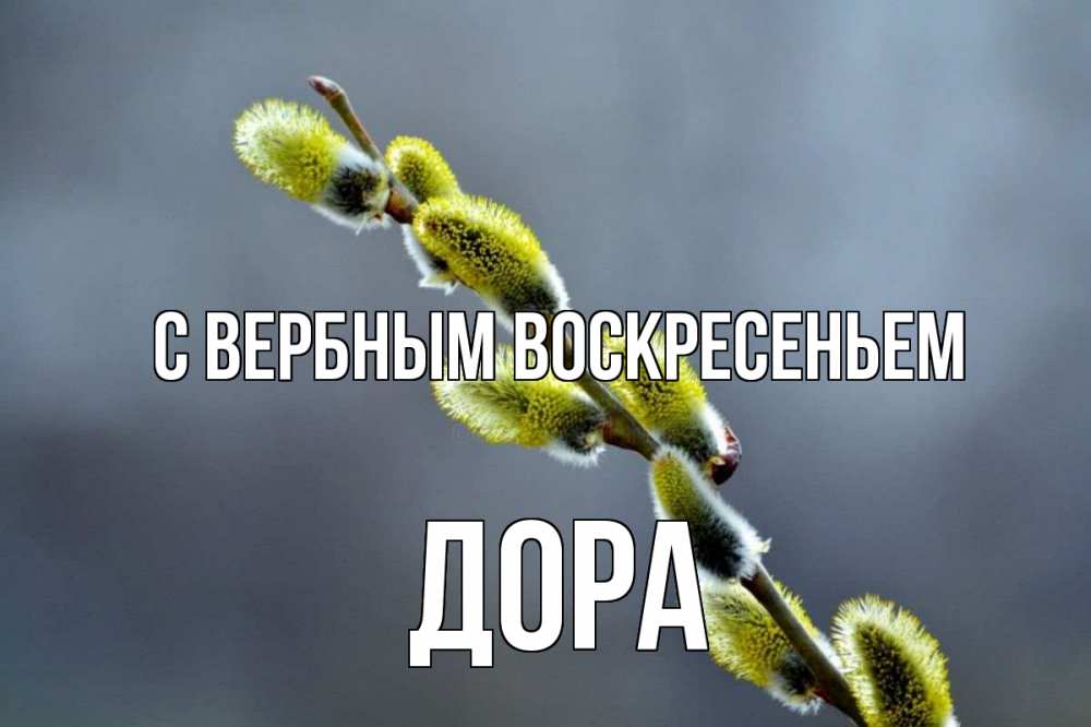 Открытка на каждый день с именем, Дора С вербным воскресеньем верба Прикольная открытка с пожеланием онлайн скачать бесплатно 
