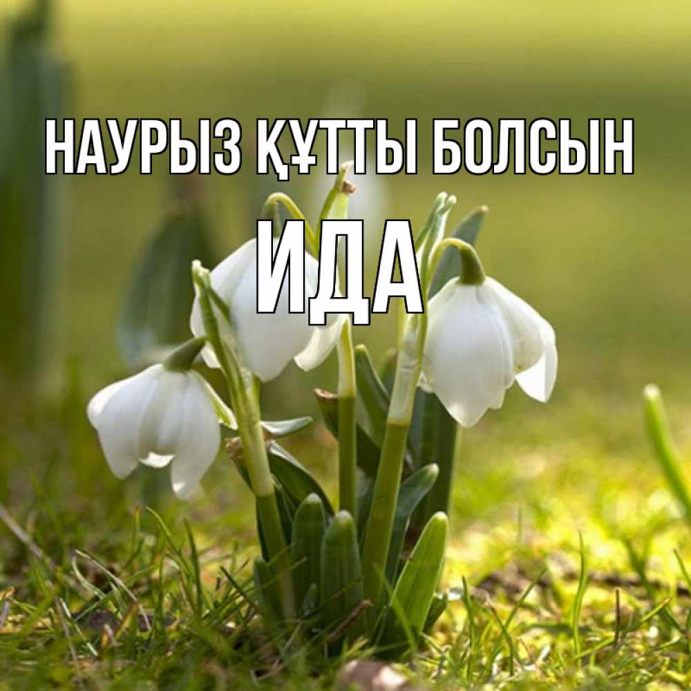 Открытка на каждый день с именем, Ида Наурыз құтты болсын ранние цветы 2 Прикольная открытка с пожеланием онлайн скачать бесплатно 