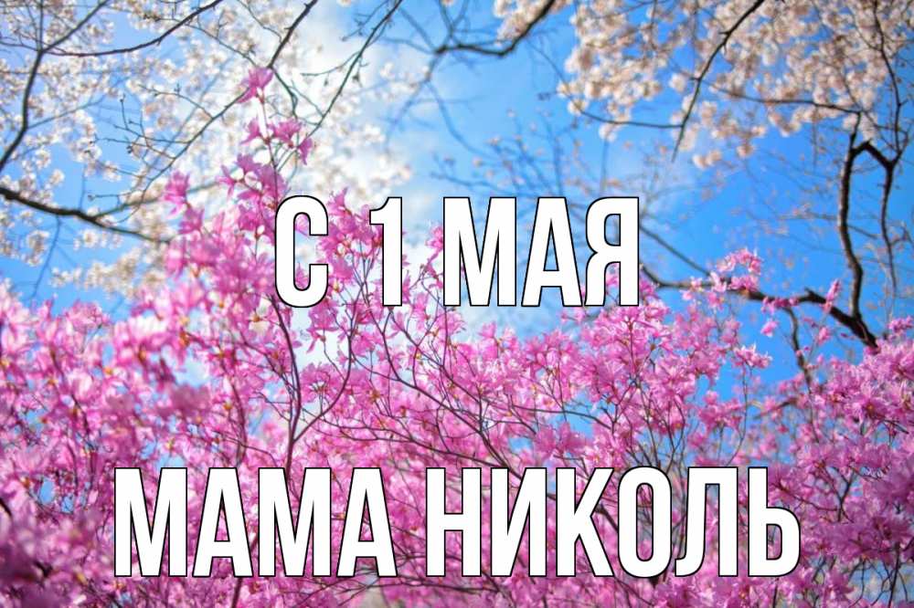 Открытка на каждый день с именем, Мама-Николь С 1 мая С 1 мая Прикольная открытка с пожеланием онлайн скачать бесплатно 