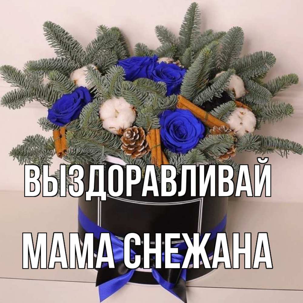 Открытка на каждый день с именем, Мама-Снежана Выздоравливай короче кто то загрузил эти шишки Прикольная открытка с пожеланием онлайн скачать бесплатно 