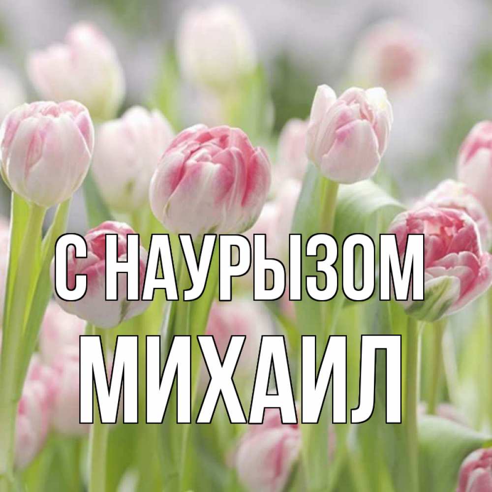 Открытка на каждый день с именем, Михаил С наурызом цветы Прикольная открытка с пожеланием онлайн скачать бесплатно 