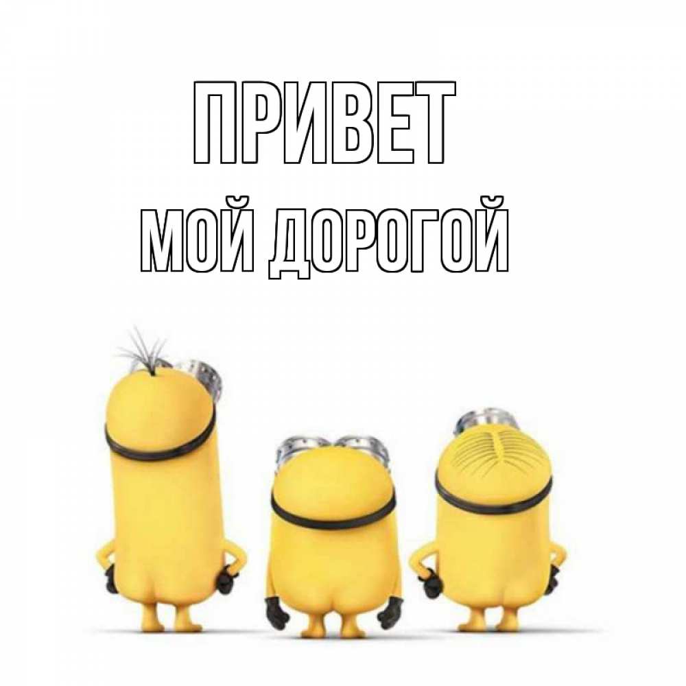 Открытка на каждый день с именем, Мой-дорогой Привет приветики Прикольная открытка с пожеланием онлайн скачать бесплатно 