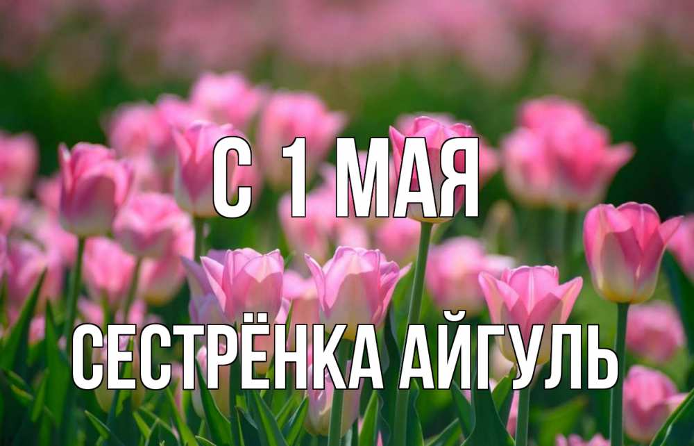 Открытка на каждый день с именем, Сестрёнка-Айгуль С 1 мая С 1 мая Прикольная открытка с пожеланием онлайн скачать бесплатно 