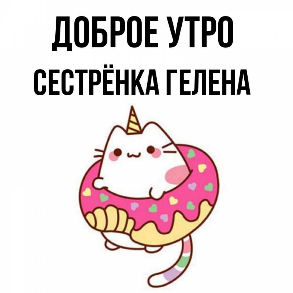 Открытка на каждый день с именем, Сестрёнка-Гелена Доброе утро кот в бублике Прикольная открытка с пожеланием онлайн скачать бесплатно 