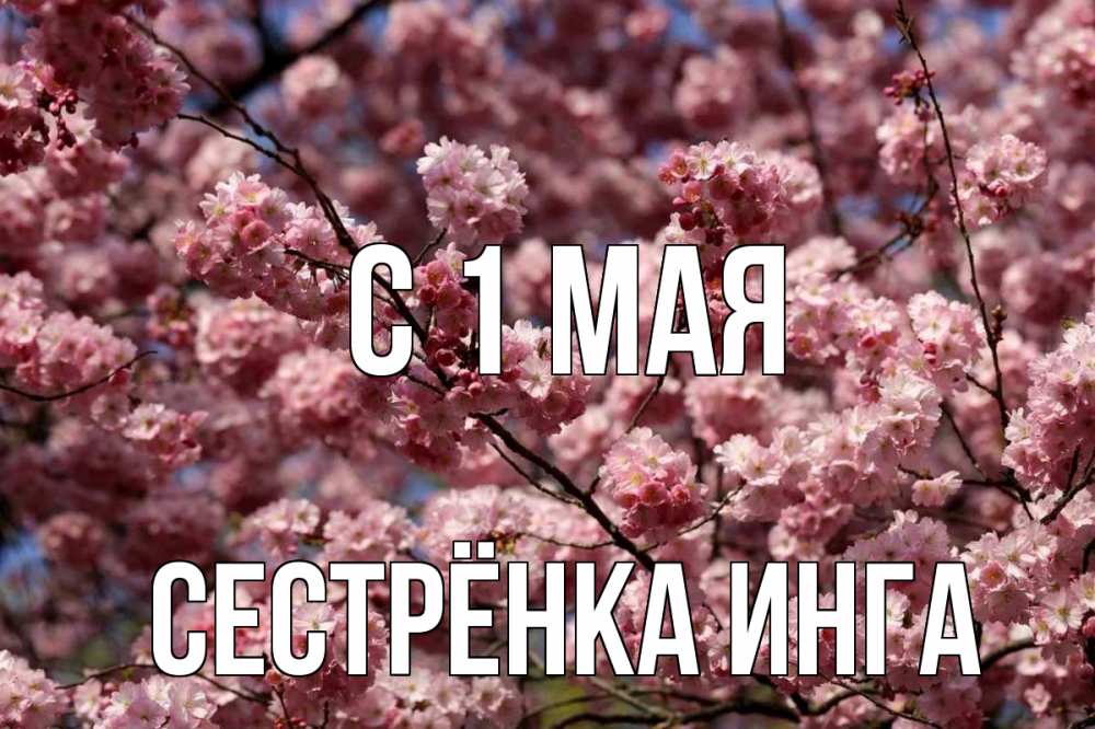 Открытка на каждый день с именем, Сестрёнка-Инга С 1 мая С 1 мая Прикольная открытка с пожеланием онлайн скачать бесплатно 