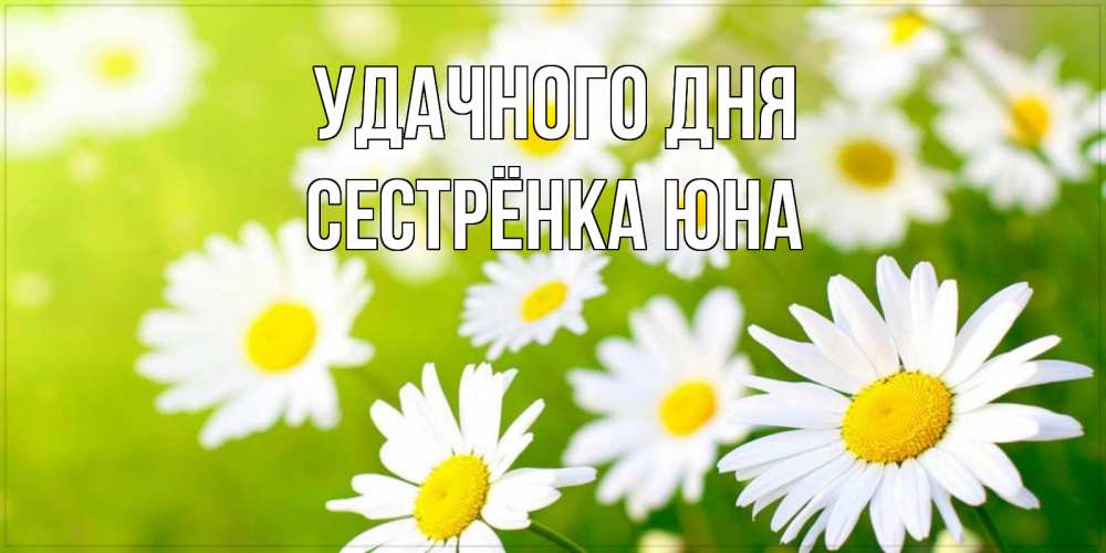 Открытка на каждый день с именем, Сестрёнка-Юна Удачного дня открытка с ромашками на зеленом фоне Прикольная открытка с пожеланием онлайн скачать бесплатно 