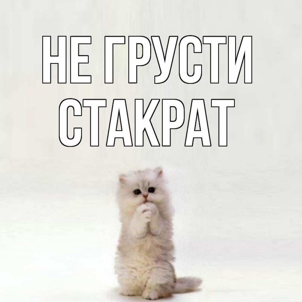 Открытка на каждый день с именем, Стакрат Не грусти грустный кот Прикольная открытка с пожеланием онлайн скачать бесплатно 