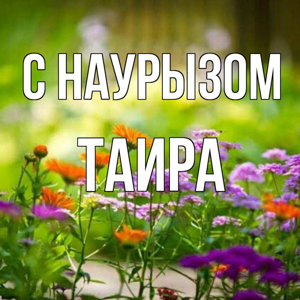 Открытка на каждый день с именем, Таира С наурызом цветы Прикольная открытка с пожеланием онлайн скачать бесплатно 