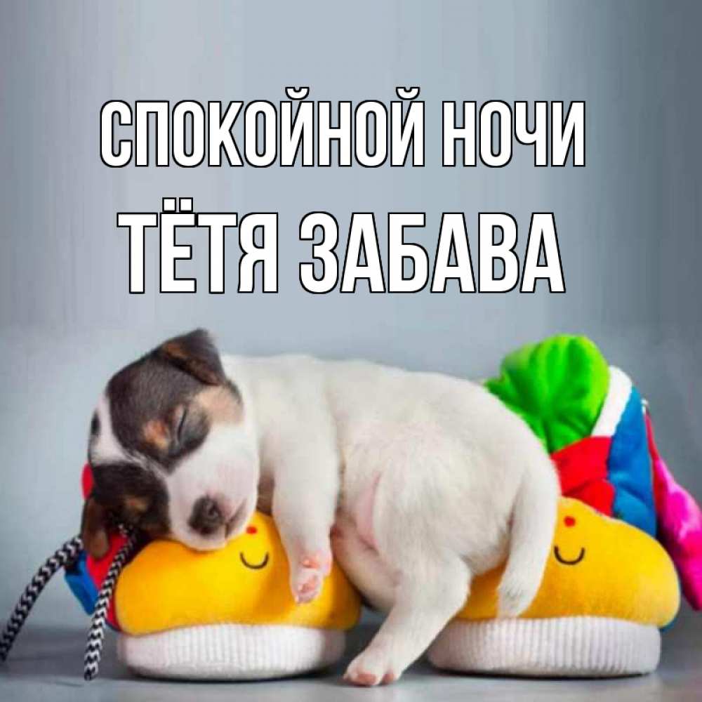 Открытка на каждый день с именем, Тётя-Забава Спокойной ночи собачка Прикольная открытка с пожеланием онлайн скачать бесплатно 