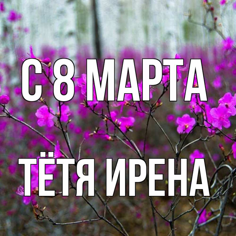 Открытка на каждый день с именем, Тётя-Ирена С 8 МАРТА дикие цветы Прикольная открытка с пожеланием онлайн скачать бесплатно 