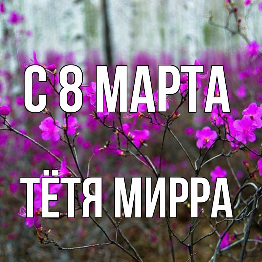 Открытка на каждый день с именем, Тётя-Мирра С 8 МАРТА дикие цветы Прикольная открытка с пожеланием онлайн скачать бесплатно 