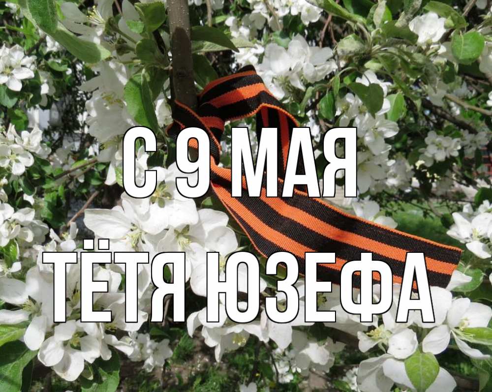 Открытка на каждый день с именем, Тётя-Юзефа С 9 мая 9 мая Прикольная открытка с пожеланием онлайн скачать бесплатно 