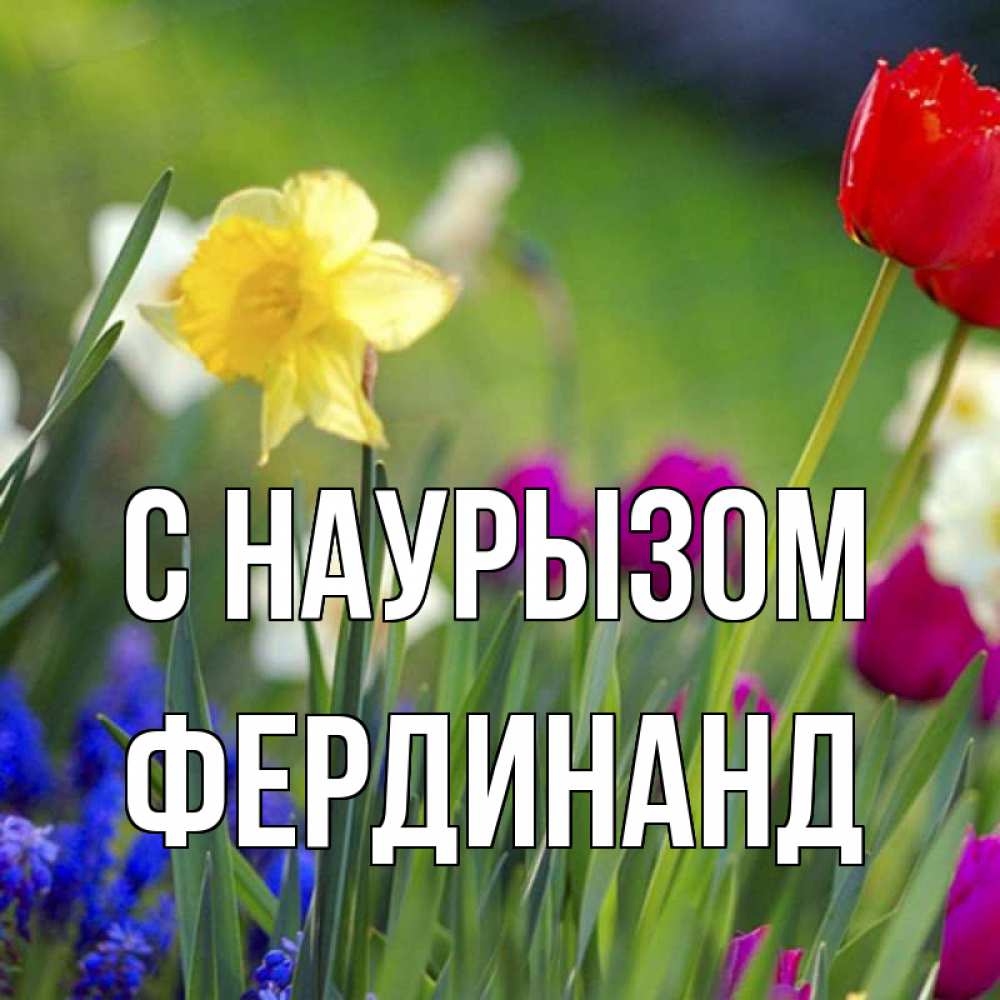 Открытка на каждый день с именем, Фердинанд С наурызом праздник весны наурыз 3 Прикольная открытка с пожеланием онлайн скачать бесплатно 