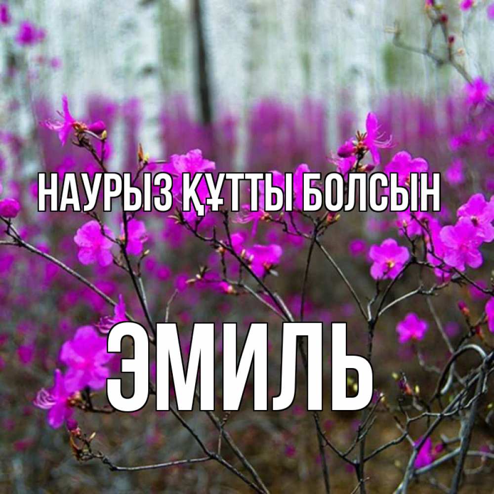 Открытка на каждый день с именем, Эмиль Наурыз құтты болсын дикие цветы Прикольная открытка с пожеланием онлайн скачать бесплатно 