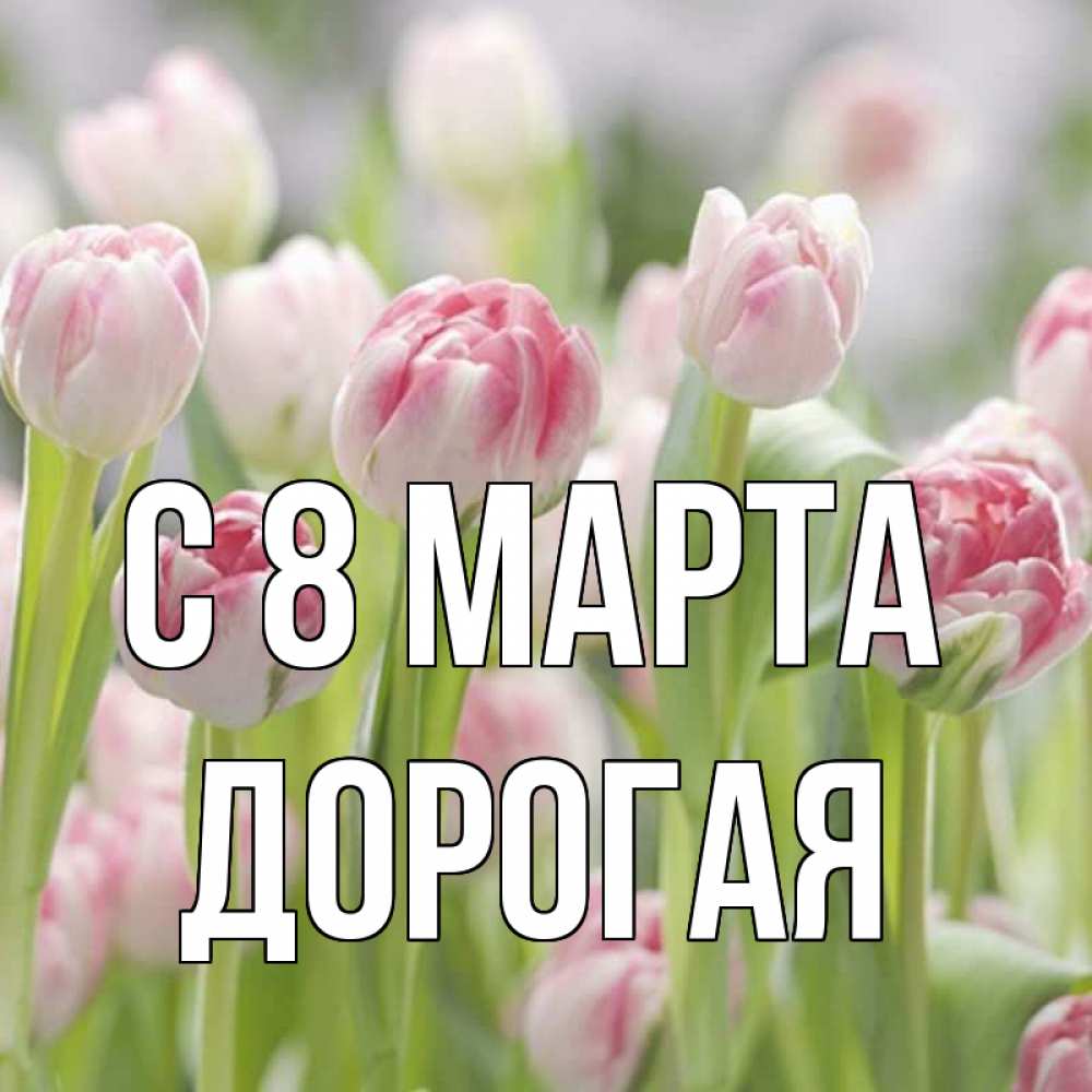Открытка на каждый день с именем, Дорогая С 8 марта цветы Прикольная открытка с пожеланием онлайн скачать бесплатно 